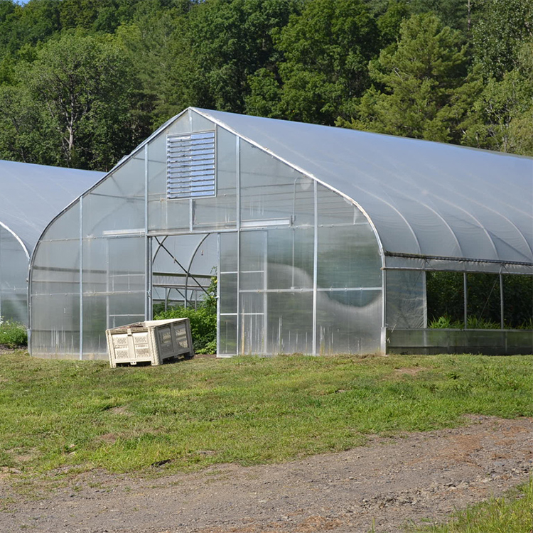 Small Single Span Film Sawtooth Greenhouse
