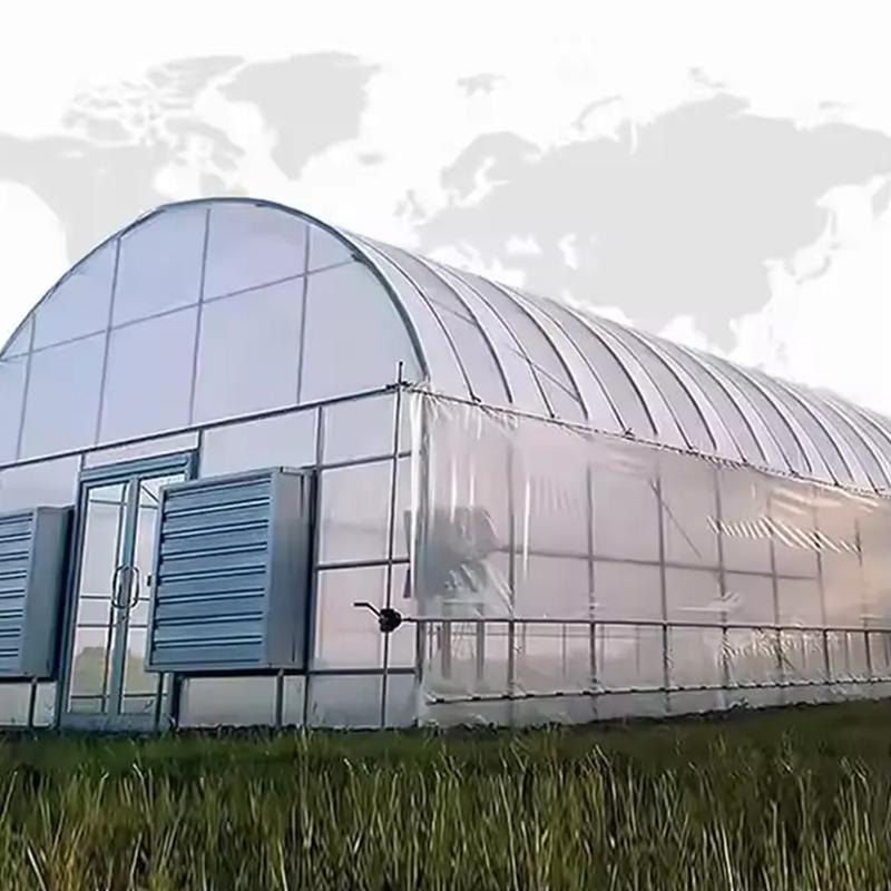 Tunnel Greenhouse