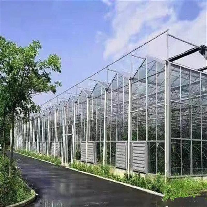 🌱 Greenhouse Growing Systems: An Efficient Solution for Modern Agriculture