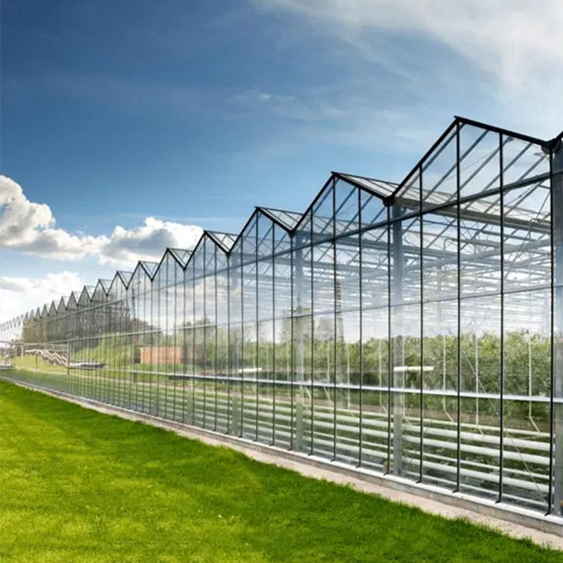 Why Glass Greenhouses Are the Future of Modern Agriculture
