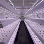 Controlled-Environment Hydroponic Shipping Containers