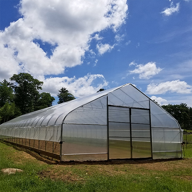 durable single-span film tunnel greenhouse