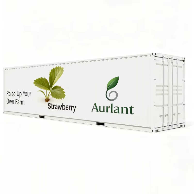 Hydroponics Strawberry Container Farm