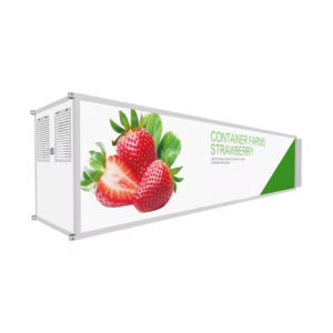 Cost-Effective Strawberry Container Farm