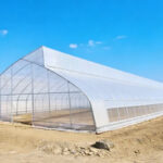 Single Span Film Sawtooth Greenhouse
