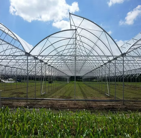 Double Layer Sawtooth Greenhouse