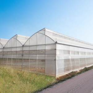Sawtooth Greenhouse With Irrigation System