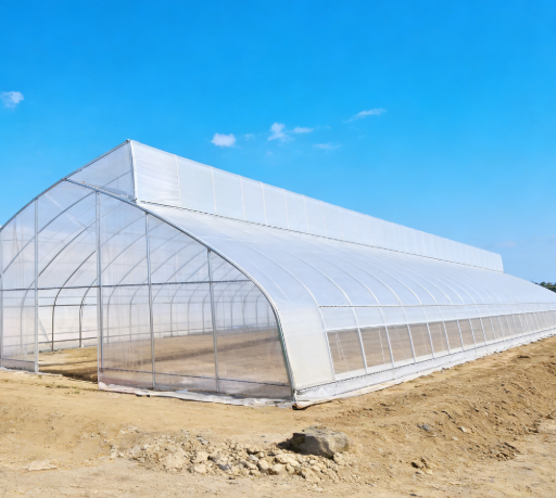 Single Span Film Sawtooth Greenhouse