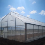 Single Span Film Sawtooth Greenhouse For Vegetables