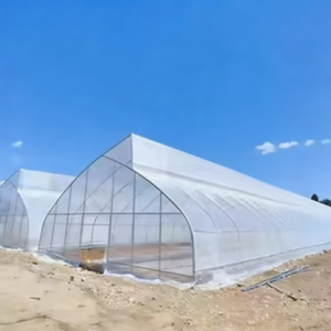 Agricultural Single Span Film Sawtooth Greenhouse