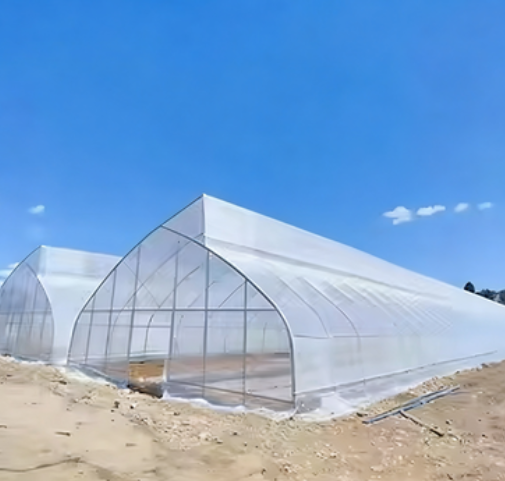 Agricultural Single Span Film Sawtooth Greenhouse