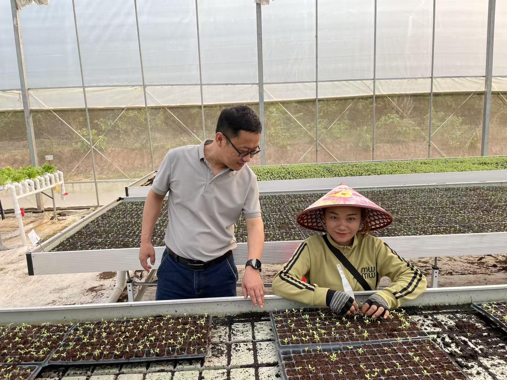 Hydroponic Systems Case Study: Smart Agriculture Project in Laos