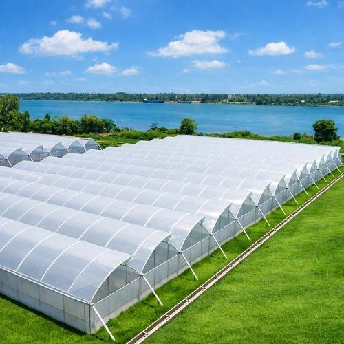 Commercial Sawtooth Greenhouse